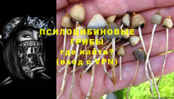 СК Липки