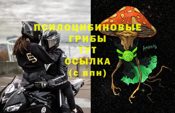 СК Липки